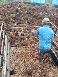 IMG-20260524-WA0031