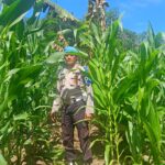 IMG-20260615-WA0379