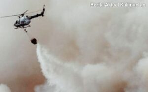 IMG-20260718-WA0801