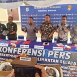 Puluhan Kilogram Sisik Trenggiling dan Dua Paruh Burung Rangkong Di Sita Ditreskrimsus Polda Kalsel IMG-20261002-WA0952
